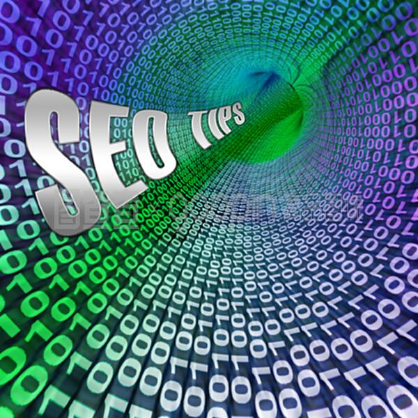 google seo india