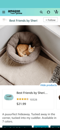 Amazon Posts example detail: Best Friends