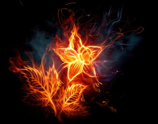 Fire flower..